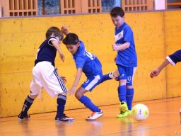 mini-2016-01-30-DSC_4275